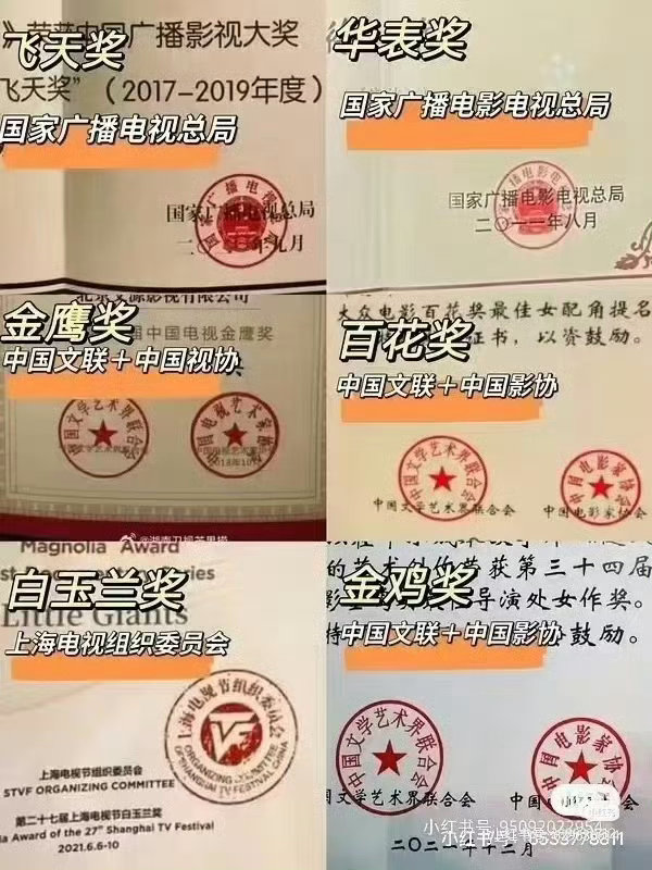 看懂了，广电总局的最权威：飞天、华表其次是中国文联：金鸡、金鹰、百花最后是沪玉兰