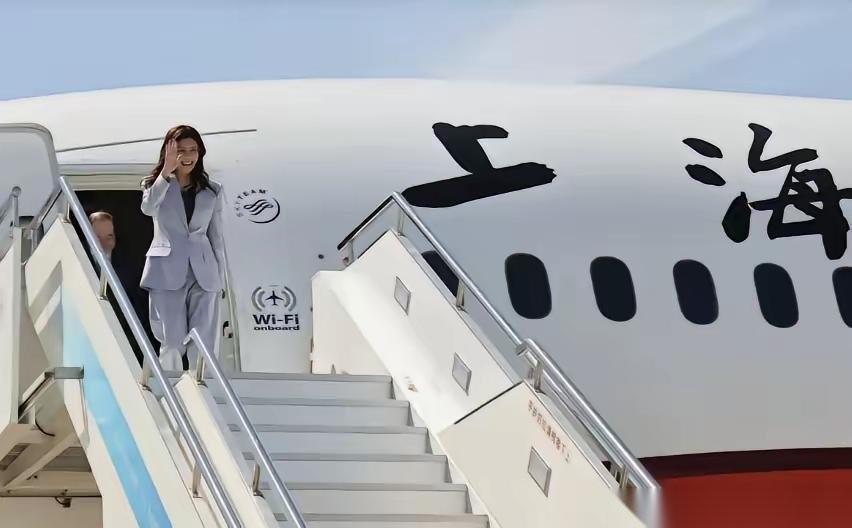 刚看到网友提的这个问题：假如郑丽文去大陆参访，回到台岛后被赖清德给抓了，大陆该咋