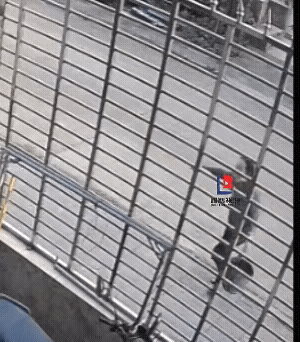 海南两兄弟发生矛盾，母亲为了偏袒其中一个儿子，提一桶粪水去泼另一个儿子的大门，泼