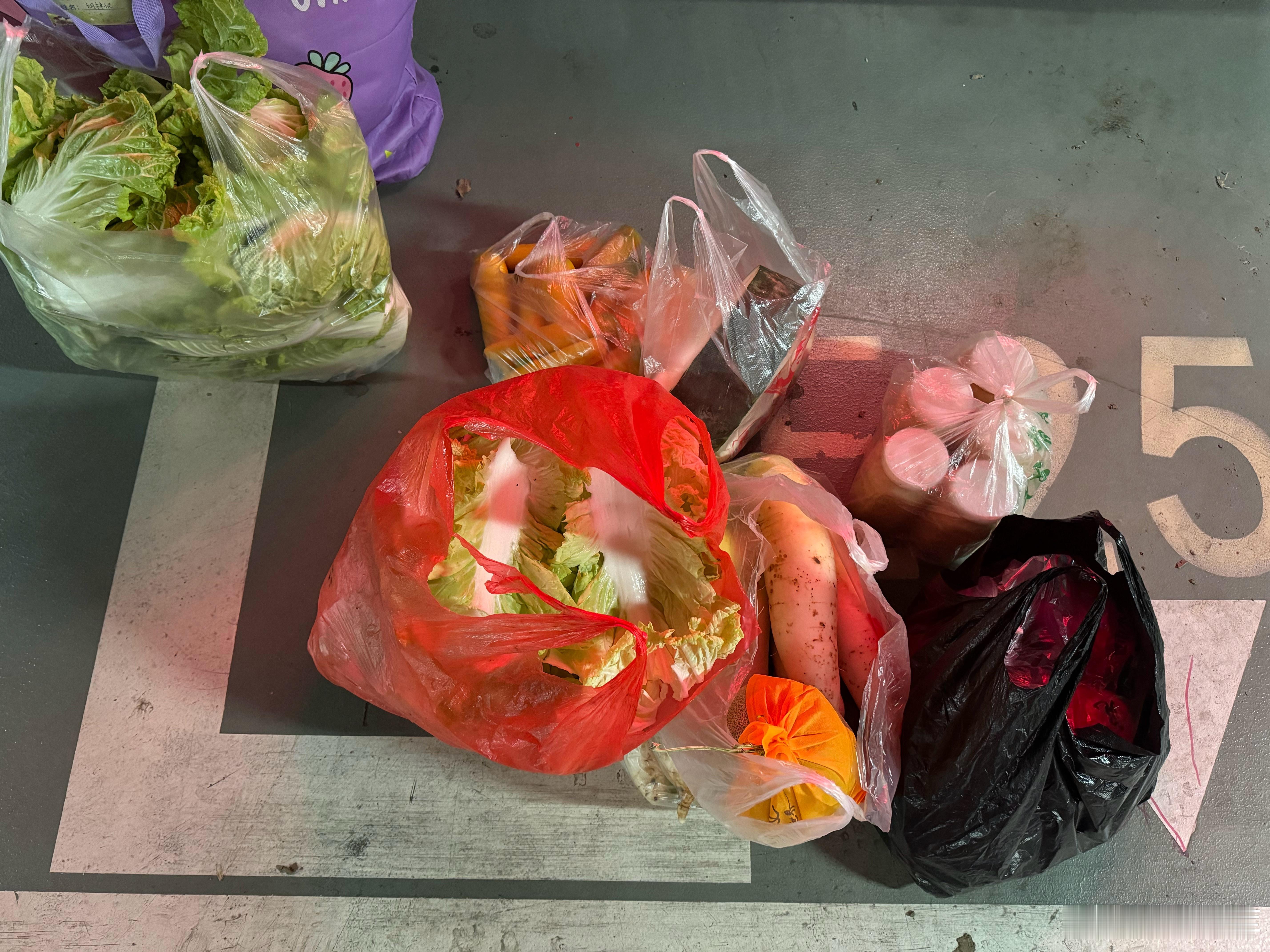 回武汉了 大包小包全是菜