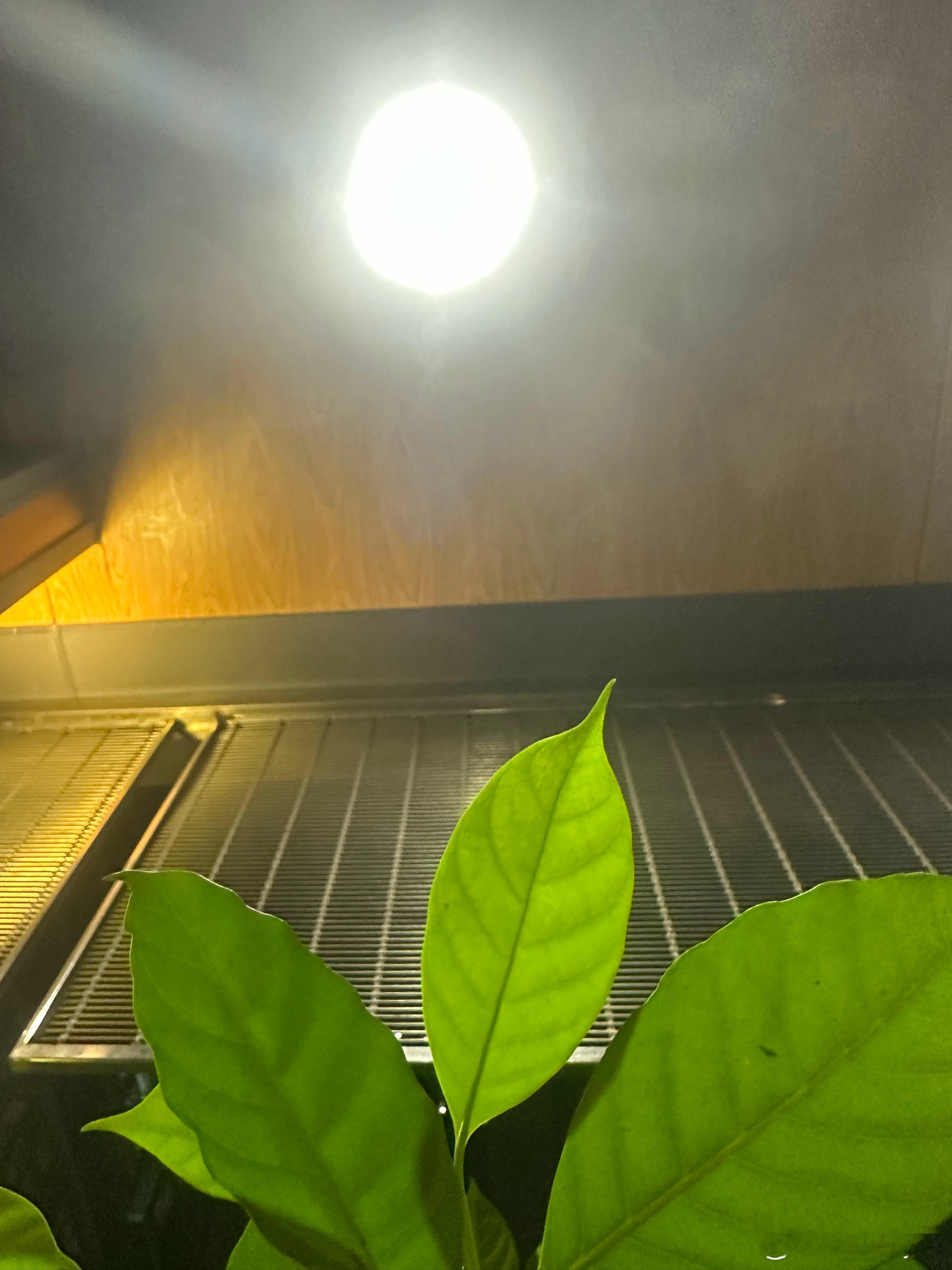 晚风轻扬，夜色温柔把今天的疲惫轻轻放下，给明天留一份期待 