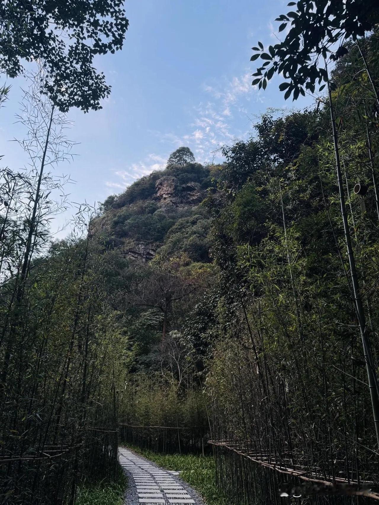 五一短途游｜杭州西山国家森林公园攻略

🌿五一不想人挤人？杭州西山国家森林公园