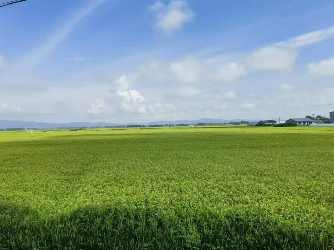 昨天接待了一位高三学生的家长，孩子这次考试发挥得不太理想，想找位合适的物理老师。