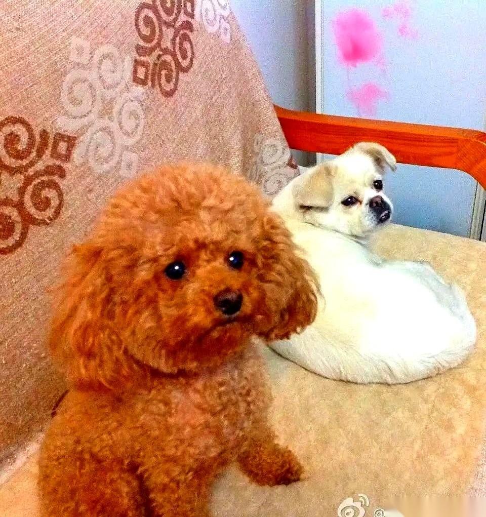 “我照顾你不是为了你，是为了我自己的修行，为了儿女的福报。”
“你活一天，我伺候