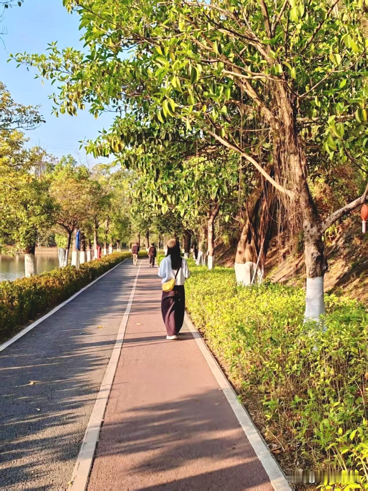 广州番禺金山湖文化公园
(免费开放)
地址:
广州市番禺区钟村街道金山
大道西(