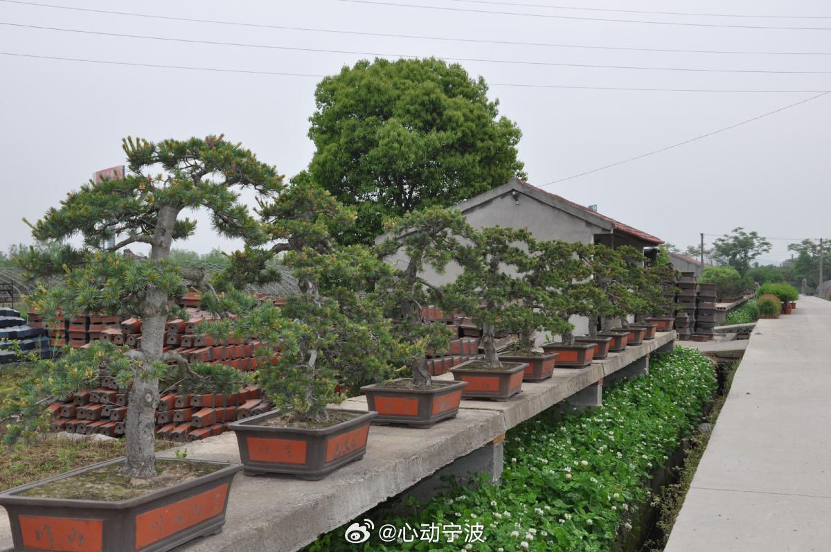 宁波发力土特产全链发展助力乡村振兴 宁波出台政策支持土特产富全链高质量发展，聚焦