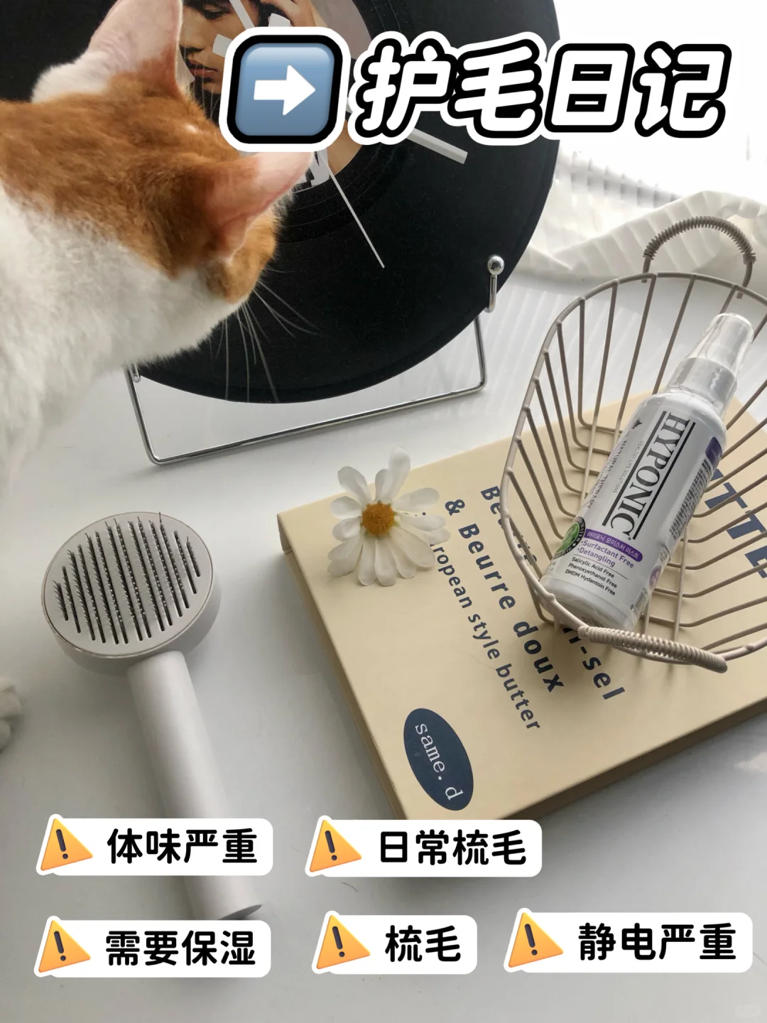 崽崽的护毛日记📖