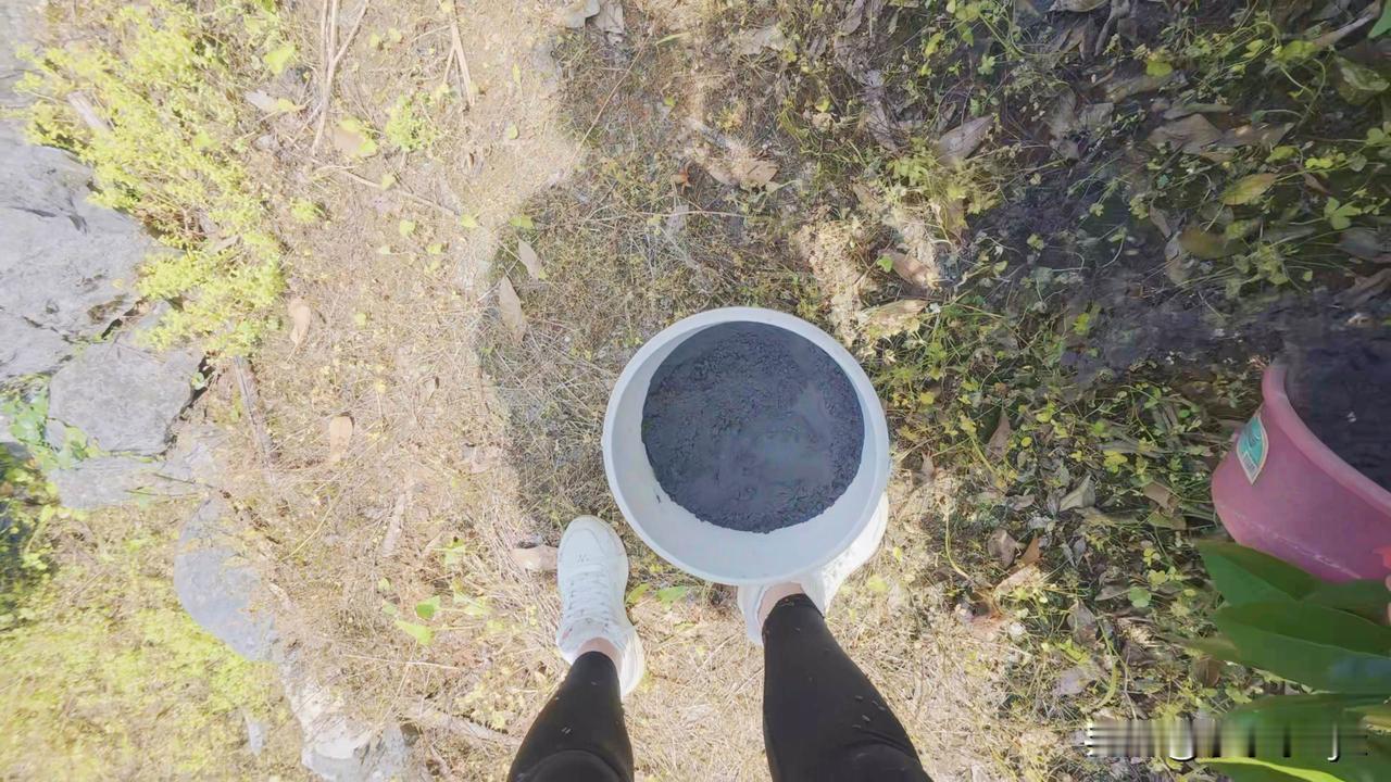 我的五一假期没出去玩，劳动节在家劳动，回家帮忙给橙子施肥的一天！太阳很大，陪着老