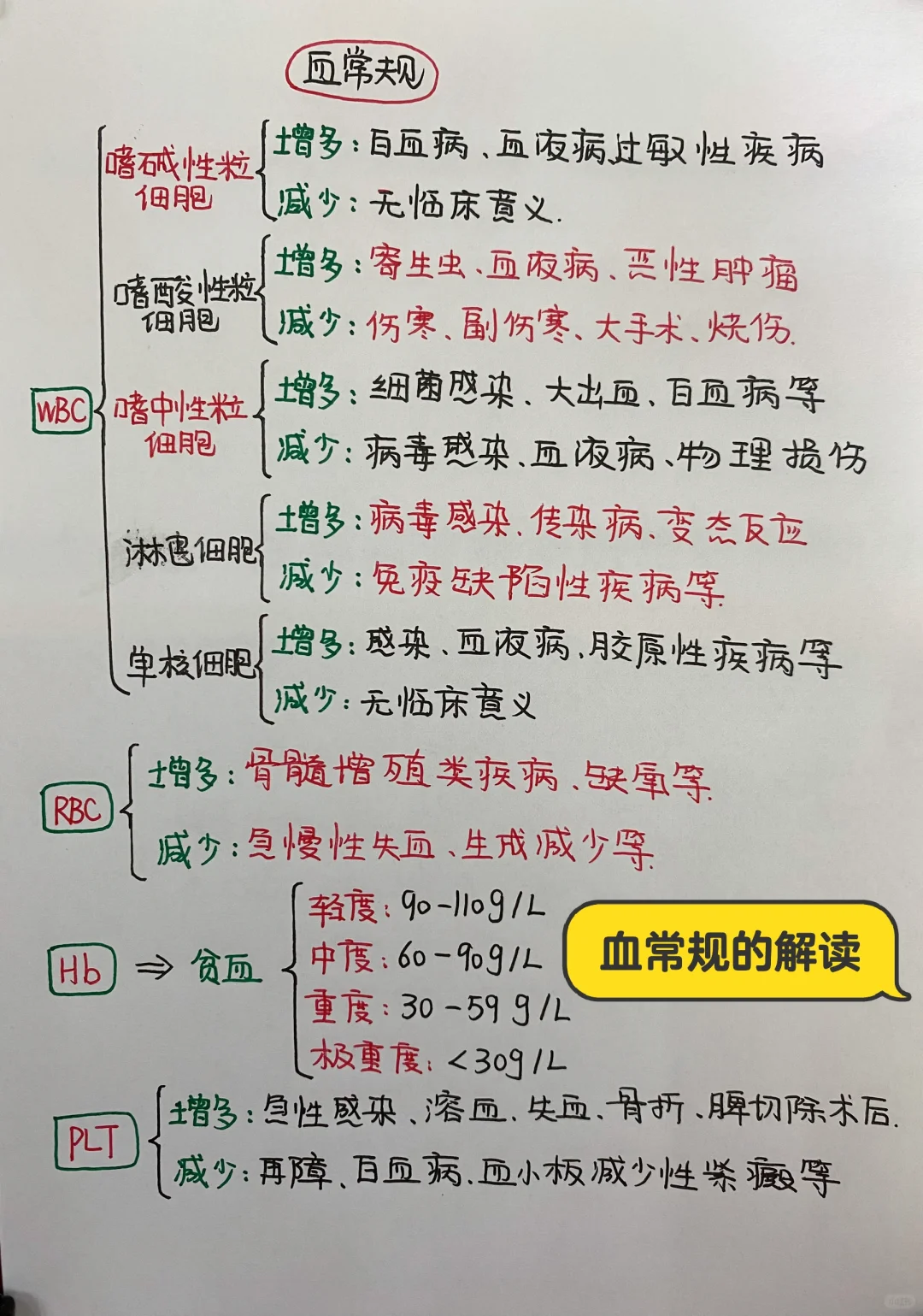 今日学习打卡——血常规的解读