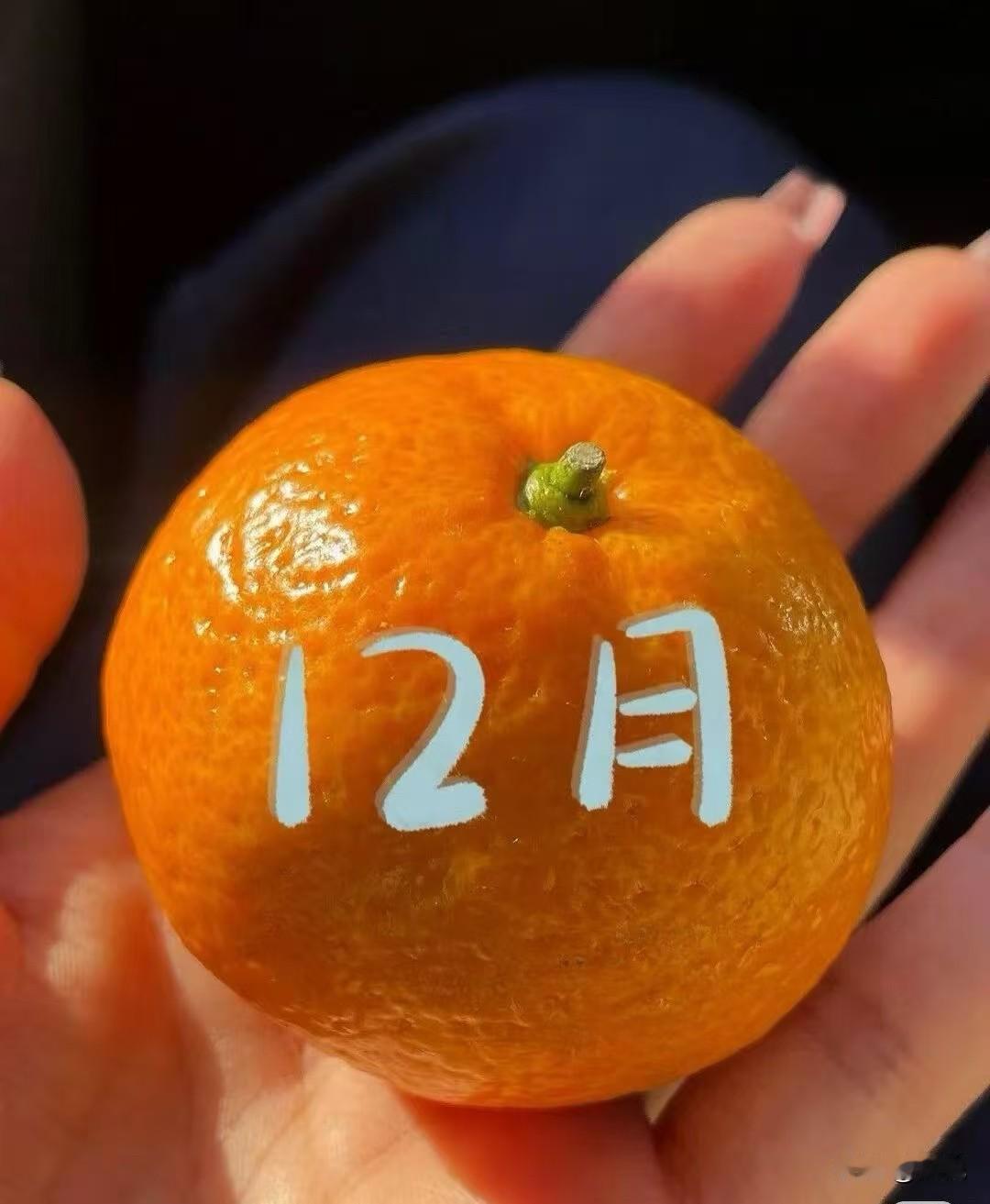 刚在水果摊一眼就瞅见这橘子，皮上写着“12月”，暖乎乎的橙黄色裹着细皮纹，像把一