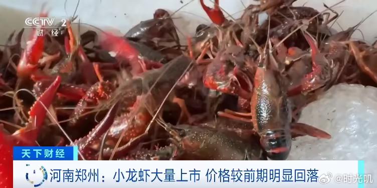 夏季“顶流”小龙虾批发价“跳水”随着气温持续攀升，小龙虾销售旺季到来。据悉，随着