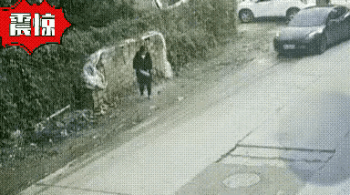 这个女人是怎么回事？太可怕了，她的脾气怎么 这么暴躁。人家司机又没有招他惹他，车