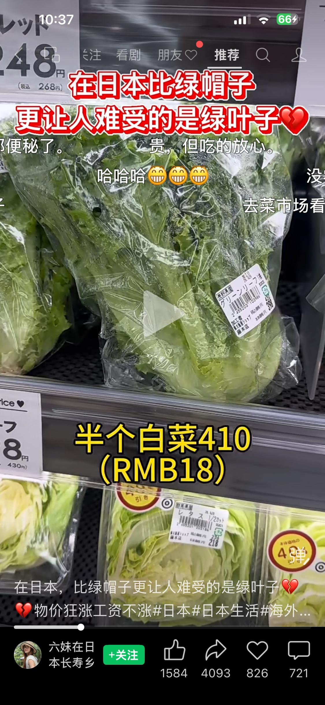 日本菜价，半个生菜人民币19元，半个白菜18元，别去日本打工，我发小和前女友都去