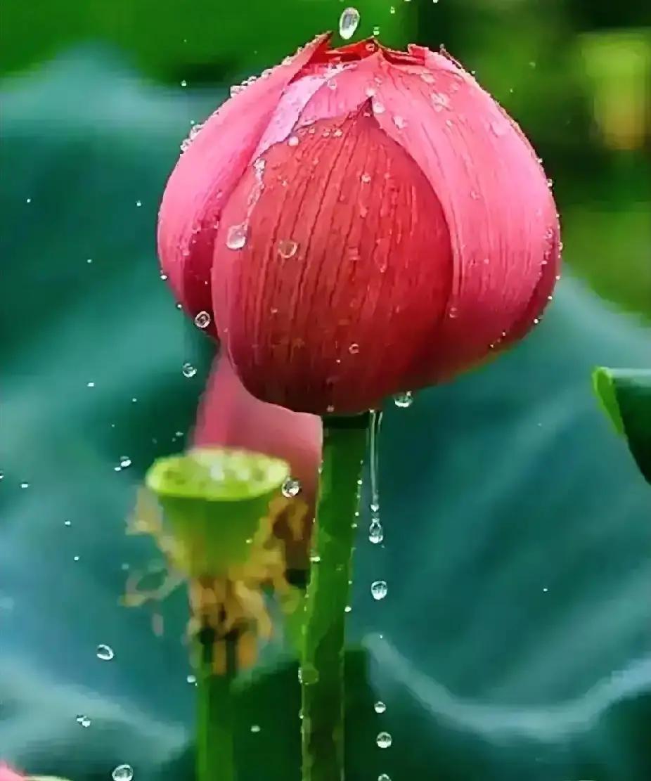 刷到那个“离婚追富被甩，三年后跪求复婚遭拒”的短视频，评论区一水儿“活该”“现世