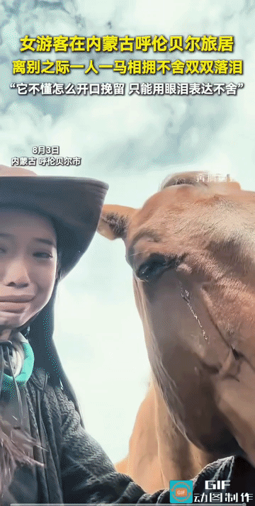马:十几年来，只有你对我才这么关心。
意味深长。马儿只想说，“上辈子我说过给你当