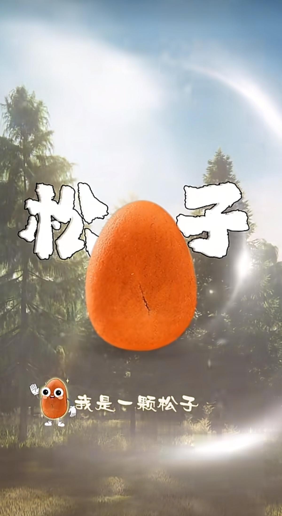 一颗松子的独白