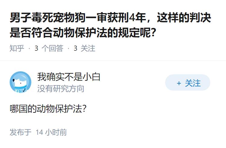男子毒死宠物狗一审获刑4年，这样的判决是否符合动物保护法的规定呢？
