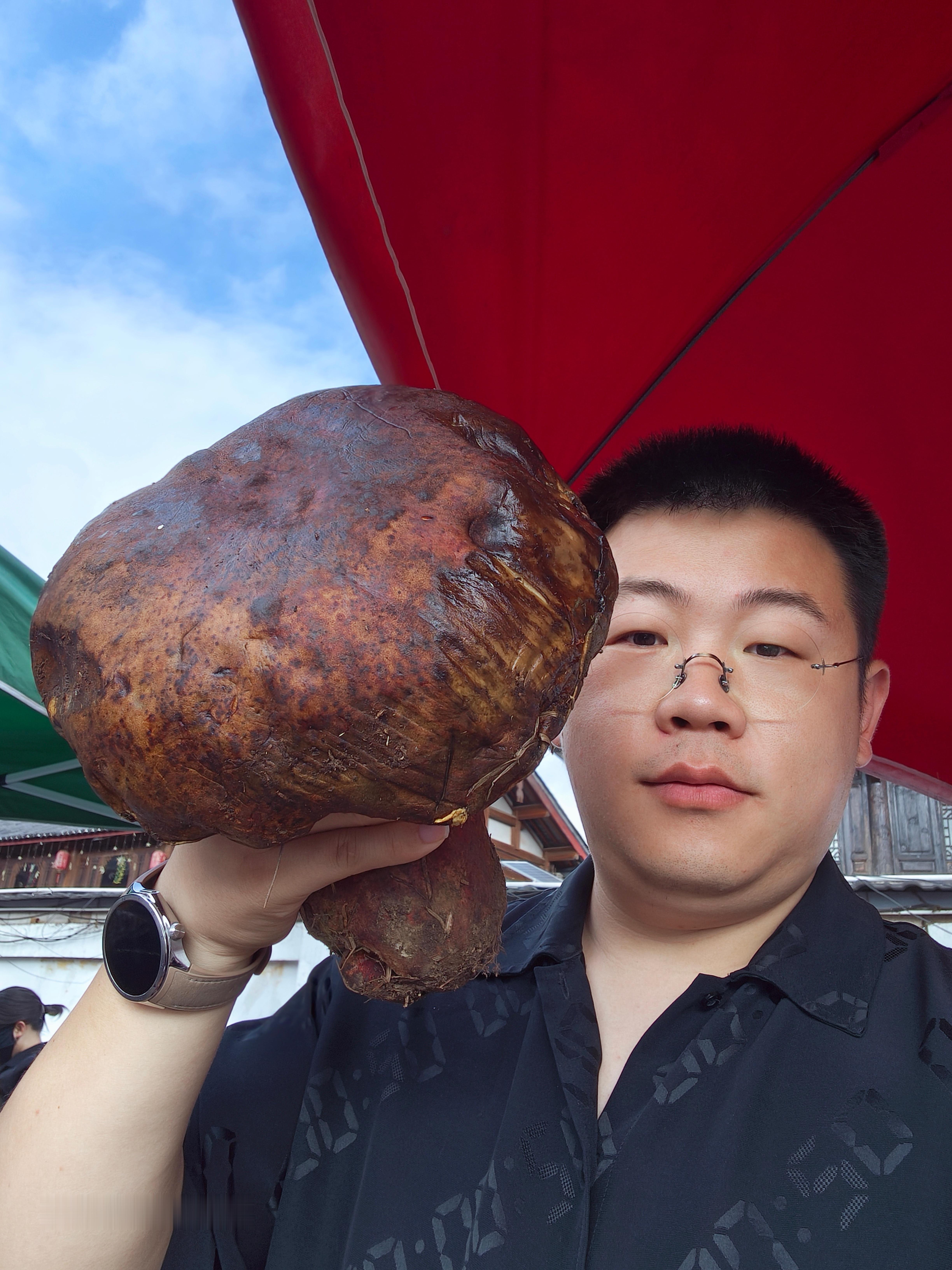 感受一下大自然的神奇，三斤多的超级红见手青，比我的头都大[泪]图4猴头菇，图5虎