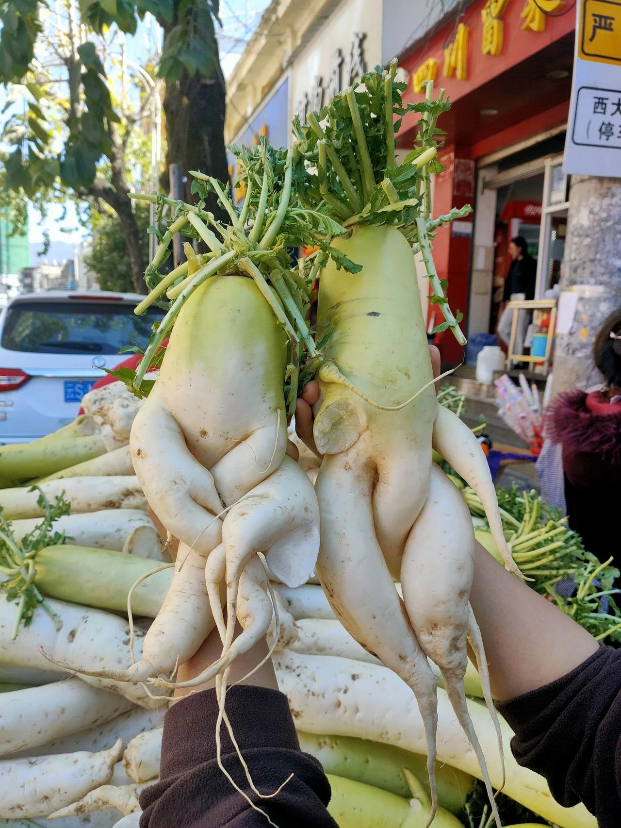 萝卜成精啦！🥕
左边这对是手拉手逛菜市场的“萝卜情侣”，
右边这位是刚从土里“