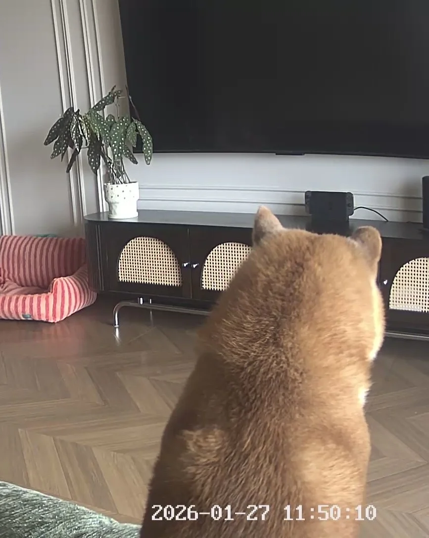 哥练的背肌真的让人很想靠