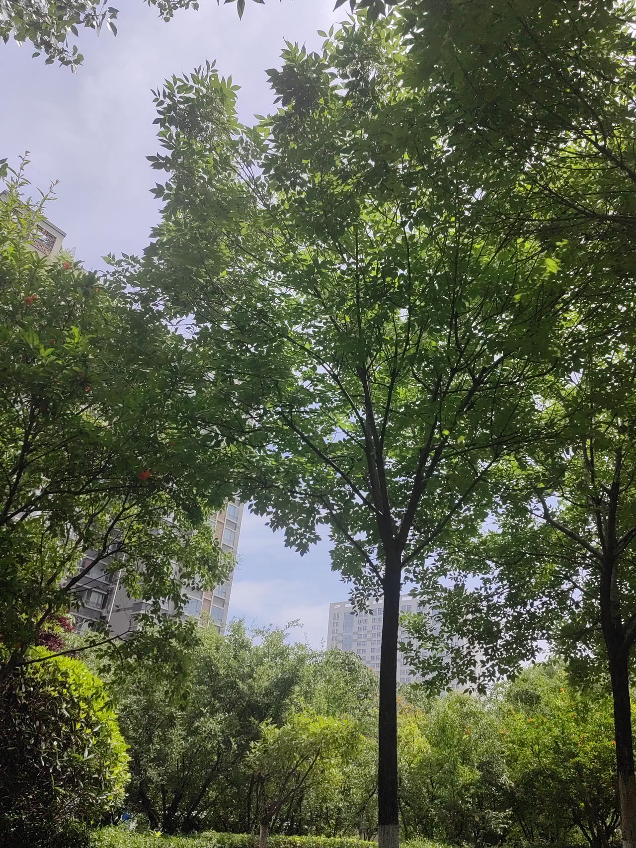 做自媒体以来，我一直坚守一个习惯：但凡有人关注、点赞我的作品，我都会认真回馈。收
