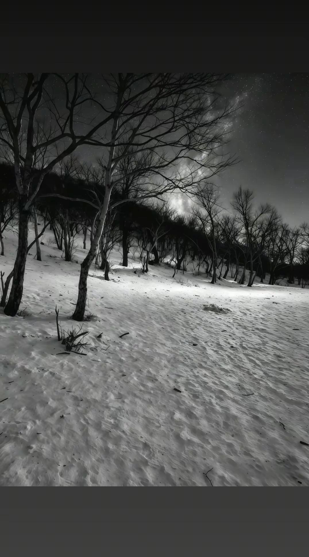热门 忧郁 inmyfeeling snow