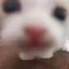 #大学生把课业模特出给校园循环店#大学生真的很懂如何资源循环利用，既不浪费也能充