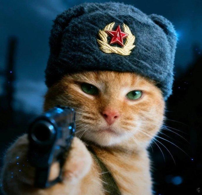 霍尔木兹堵不住中国福特ceo反对中国汽车进入美国市场雷军回应西班牙首相参观小米 