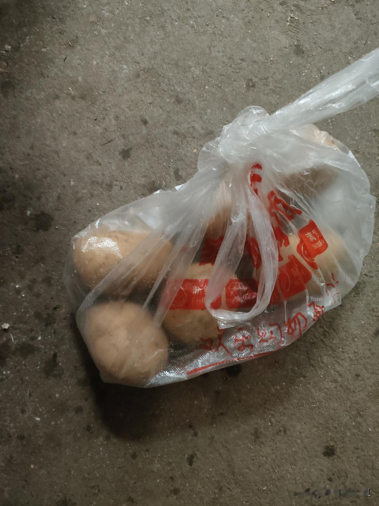 分享我这周有趣的事：
去街上菜行里发现不同的人
儿子要从学校回来，我赶紧去街上菜