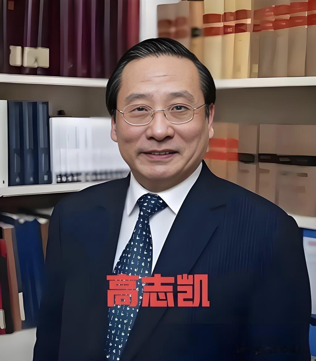 高志凯讲得太透彻了，现在真该好好理理那些陈年旧账了

2026年7月31日 星期