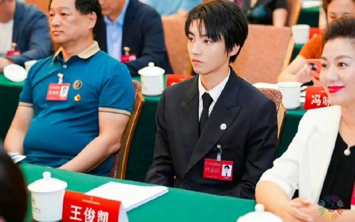 根正苗红，
这些参加代表大会的演员都是优秀的文艺工作者。
有不少网友误解了，这可