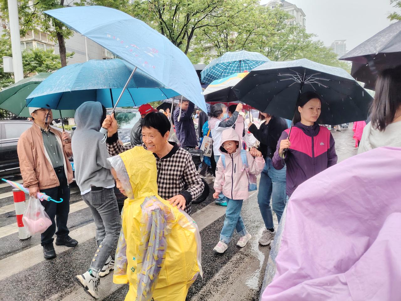 雨中情
2026年4月21日拍摄于武汉光谷一小