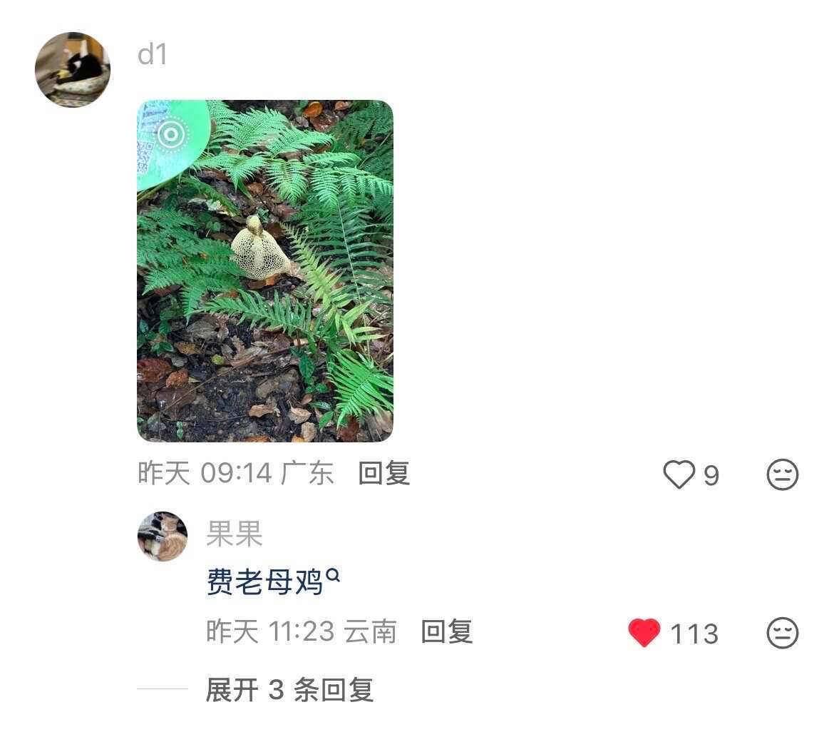 我愿称果果老师为蘑菇大王！