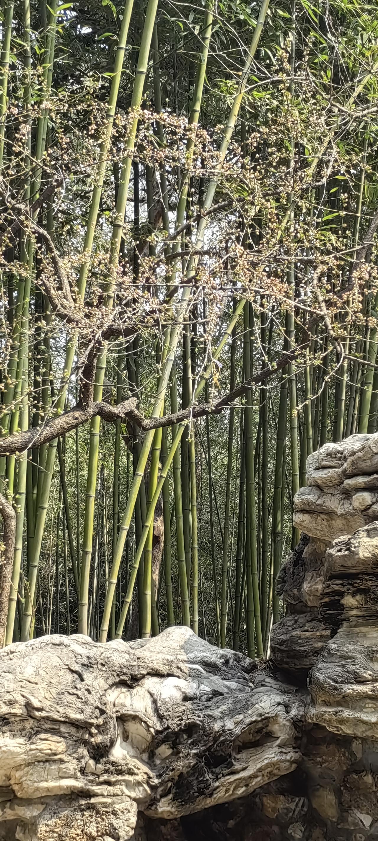 今天国足有场比赛，对手有，但是国家不太清楚，就是知道是在加勒比地区的啦。加勒比地