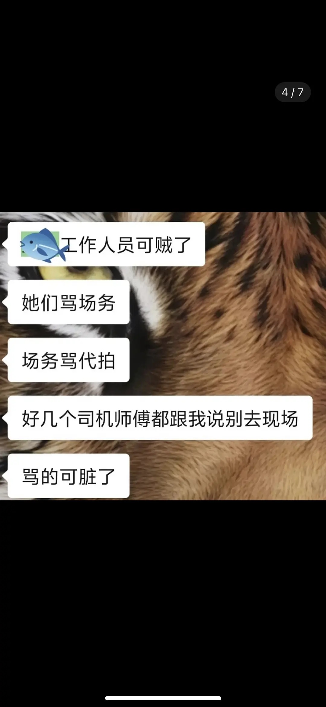 国王剧组这么多人骂🐟，感觉肯定是🐟的问题吧，不然咋会这么多人都吐槽 