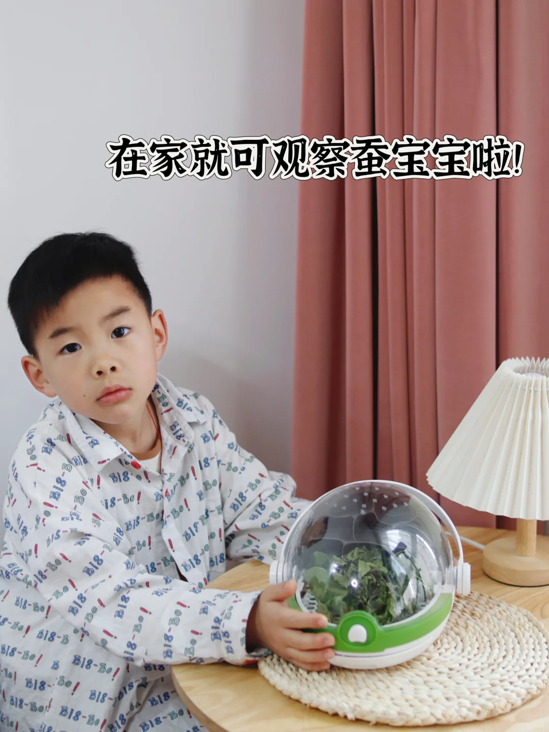 🌸 春暖花开在家体验养蚕宝宝啦！