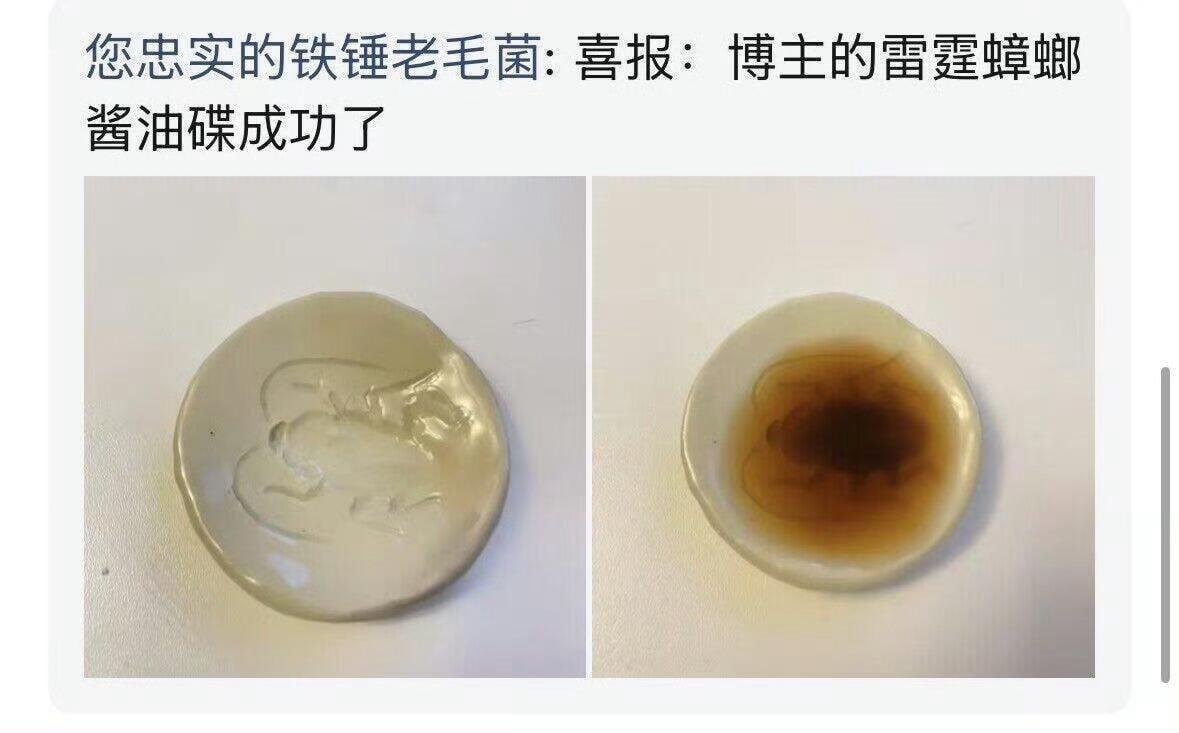 加入酱油会出现蟑螂的酱油碟最适合你的周边出现了