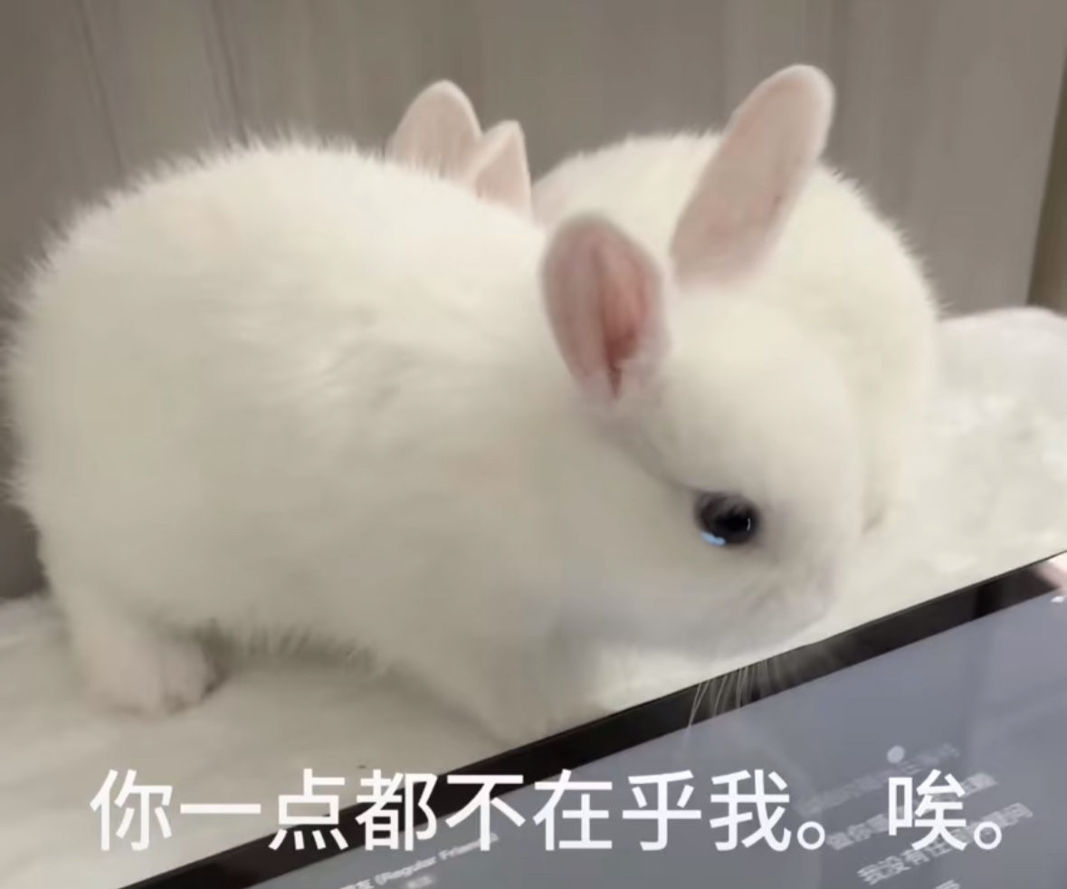 分享图片 ​​​