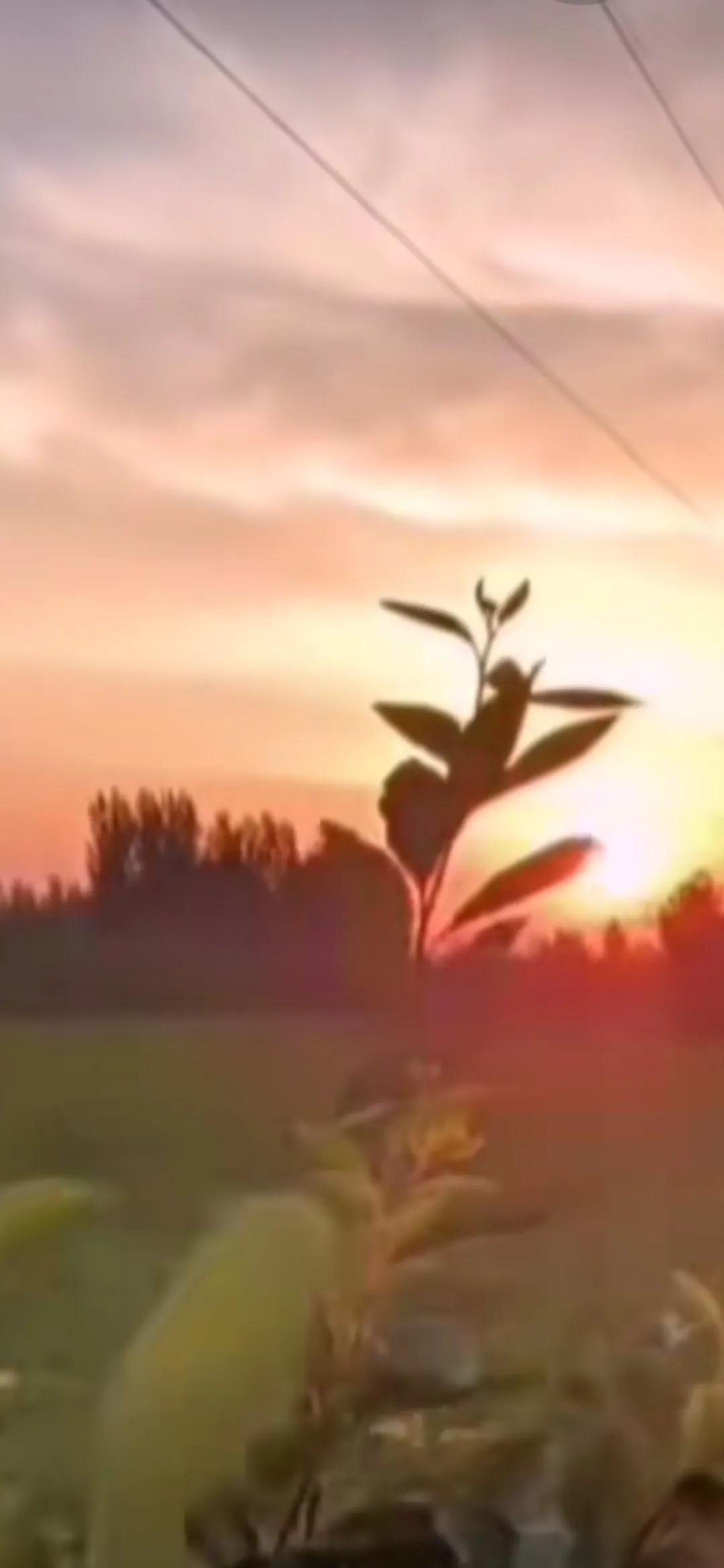 分享一张夕阳余晖照片