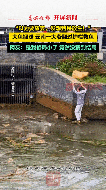 误会一场！云南昆明滇池边，两条大鱼被困在石头缝里不停扑腾，一位六十多岁的大爷不顾
