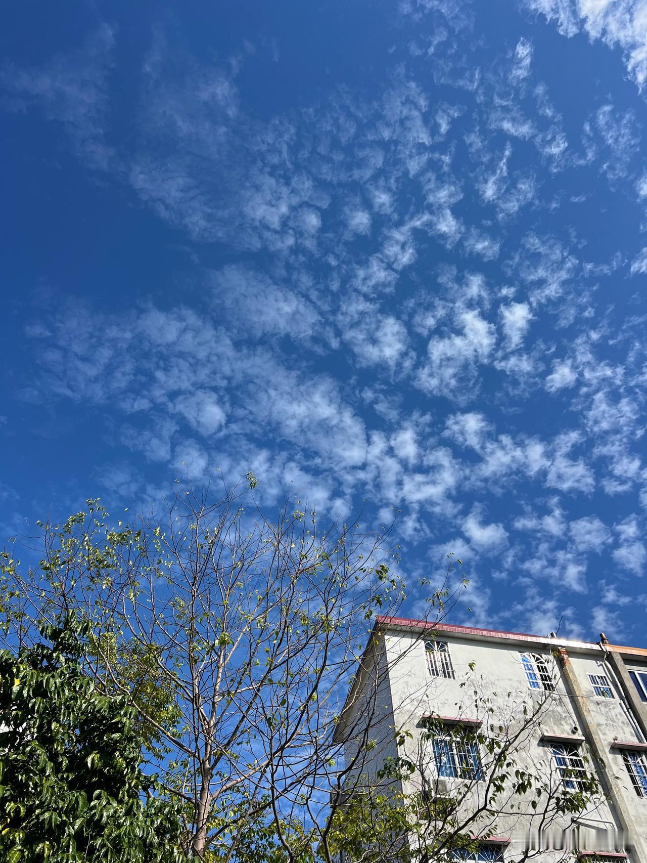 从化鸡笼岗甘味的一碗草药汤

吕田圩日，逛完后便来到鸡笼岗吃午饭，在甘味饭店吃了