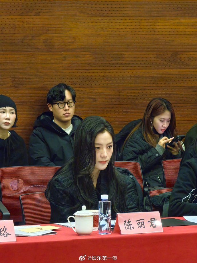 陈丽君镖人研讨会路透照 老天！这么美！ 