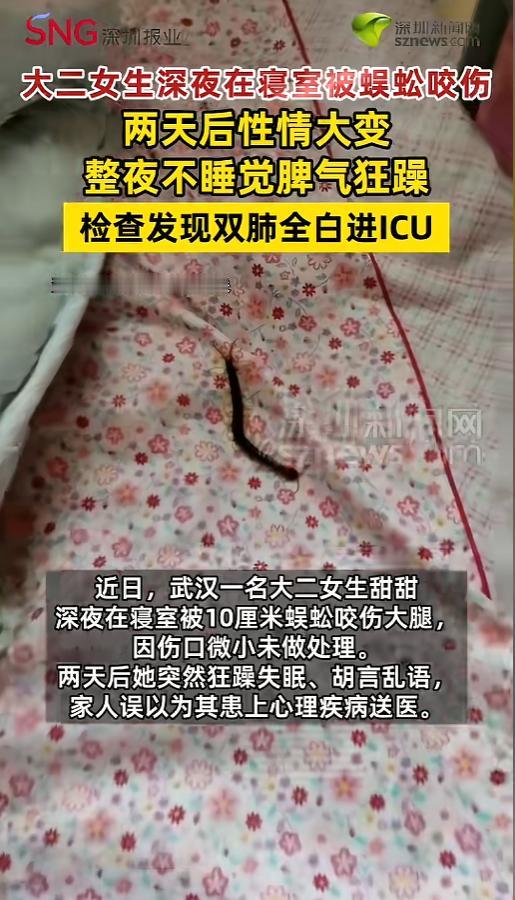 “被咬了千万不能大意！”6月10日报道，湖北武汉，一名女生半夜在寝室里被大蜈蚣咬