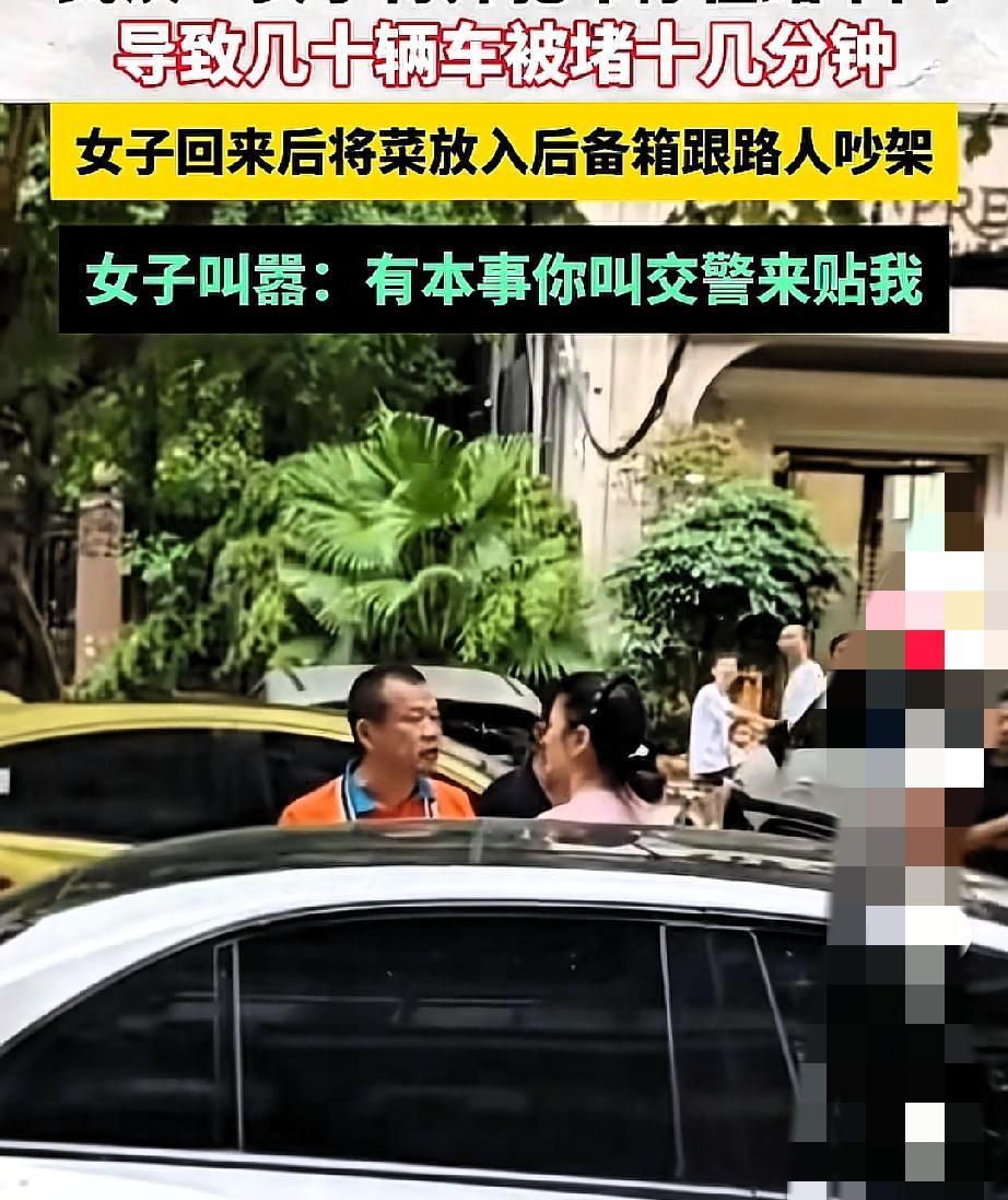 谁看了奔驰女司机堵路不气？
车停路中央，怎么劝都不动，耽误一堆人时间。有大哥忍不