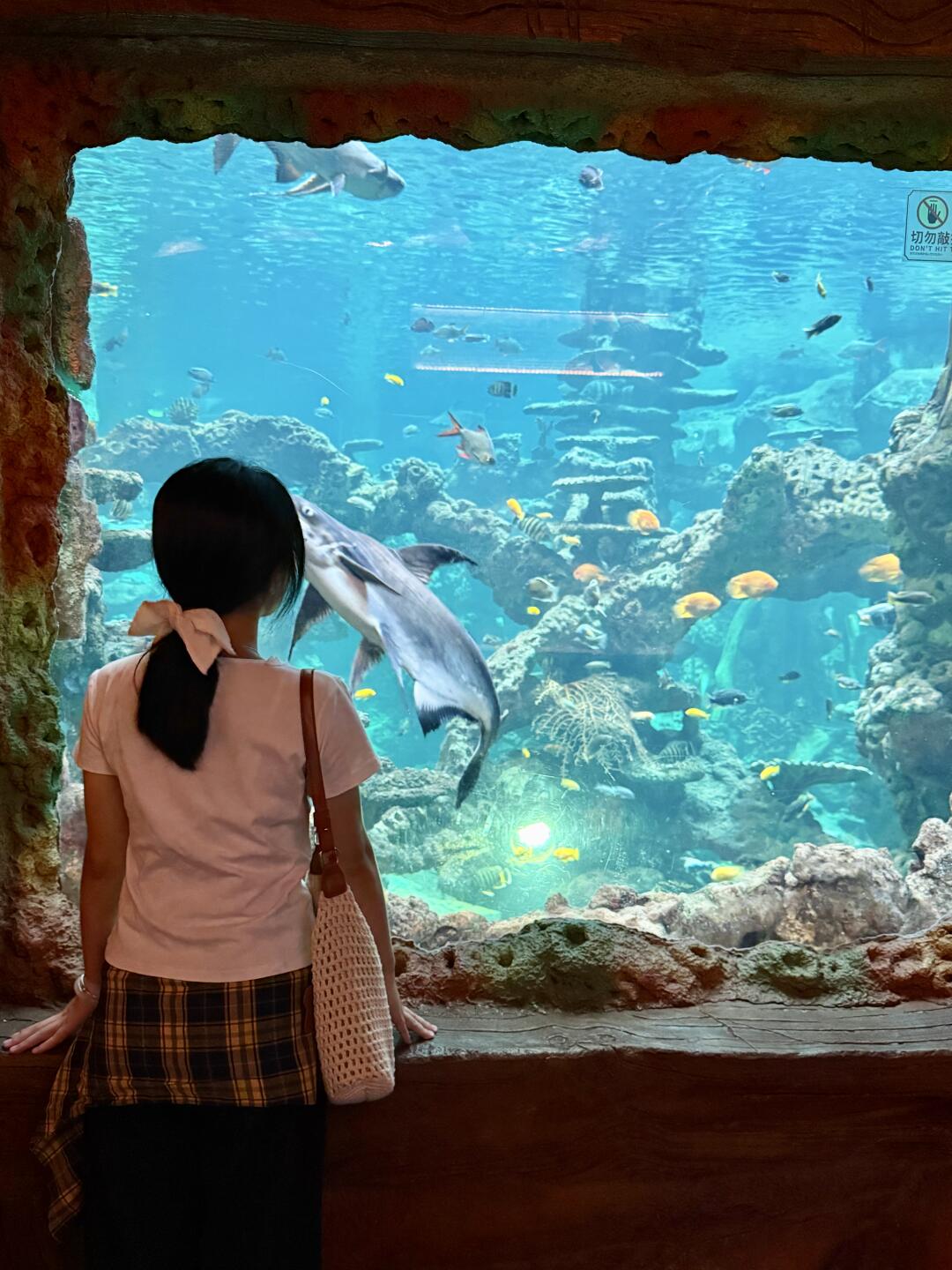 海底世界🐠就在顺德长鹿！太上头了！
