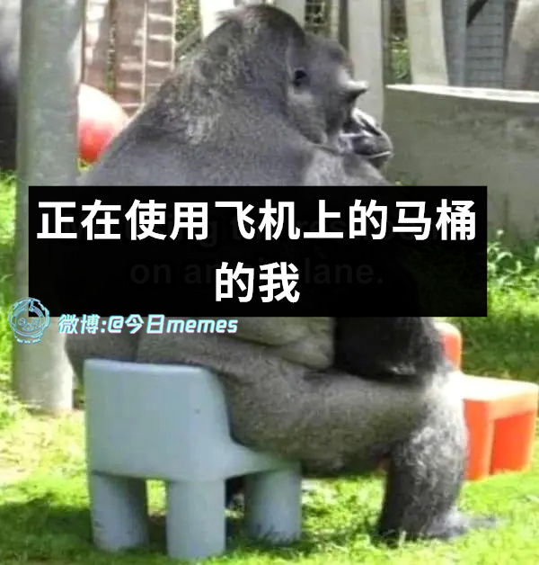 定点炮（9gag）今日meme 今日memes