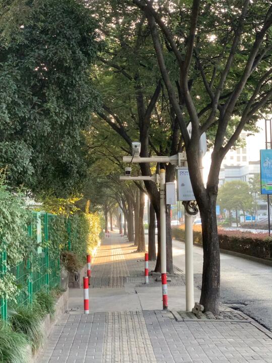 这个街景也太好看了吧～～