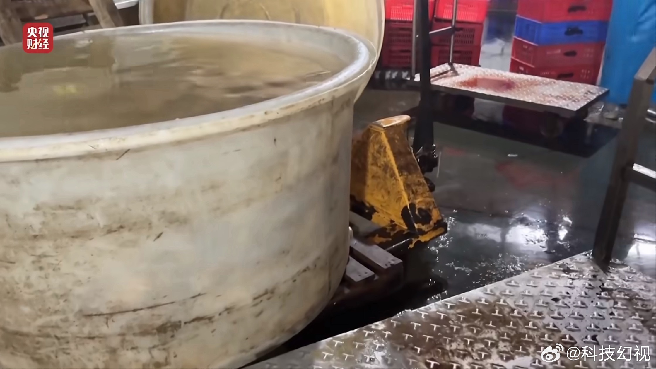 315晚会原来还挺爱吃鸡爪的，让我想起那一年的老坛酸菜了