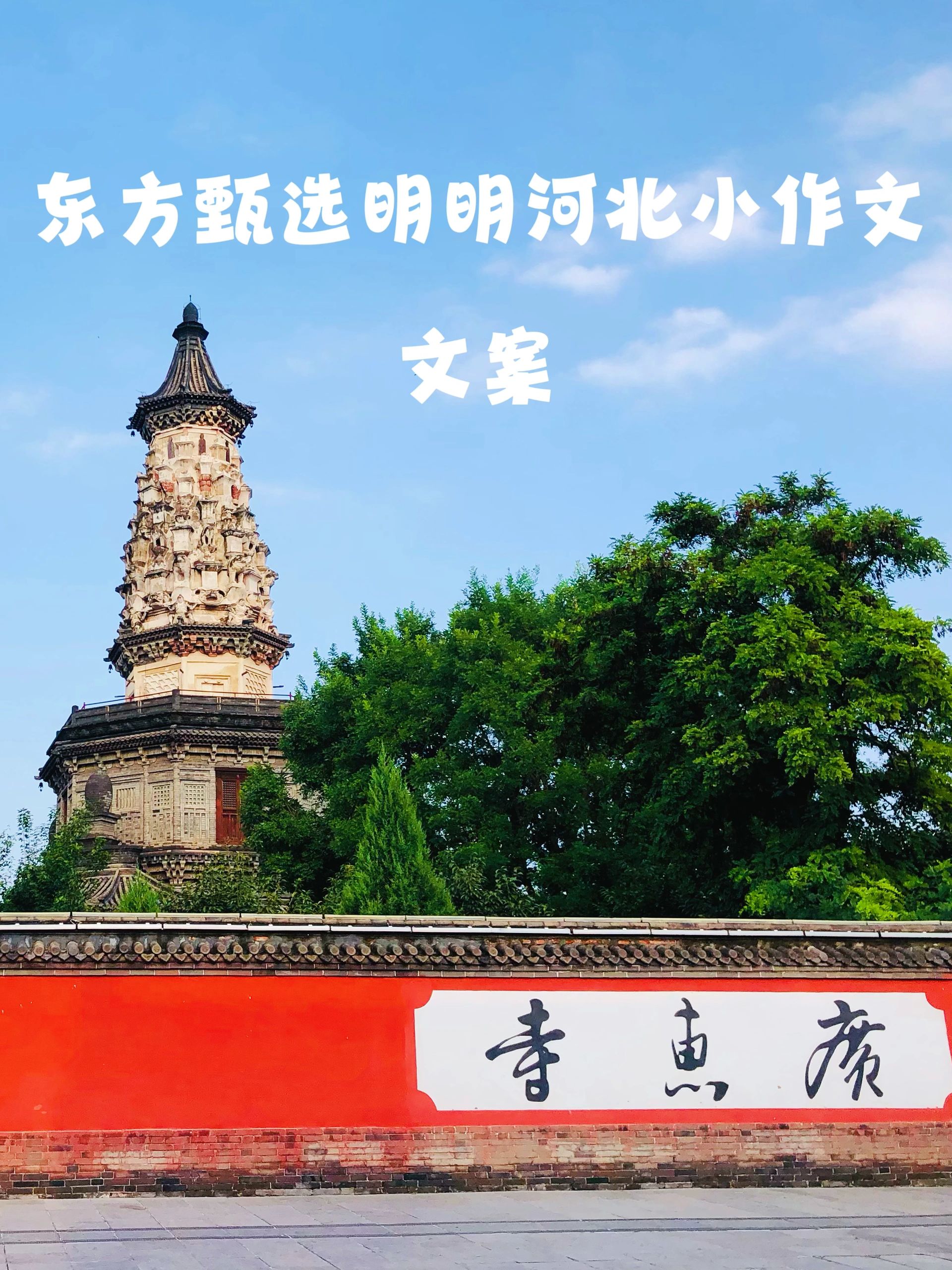 东方甄选明明老师『河北』小作文文字版