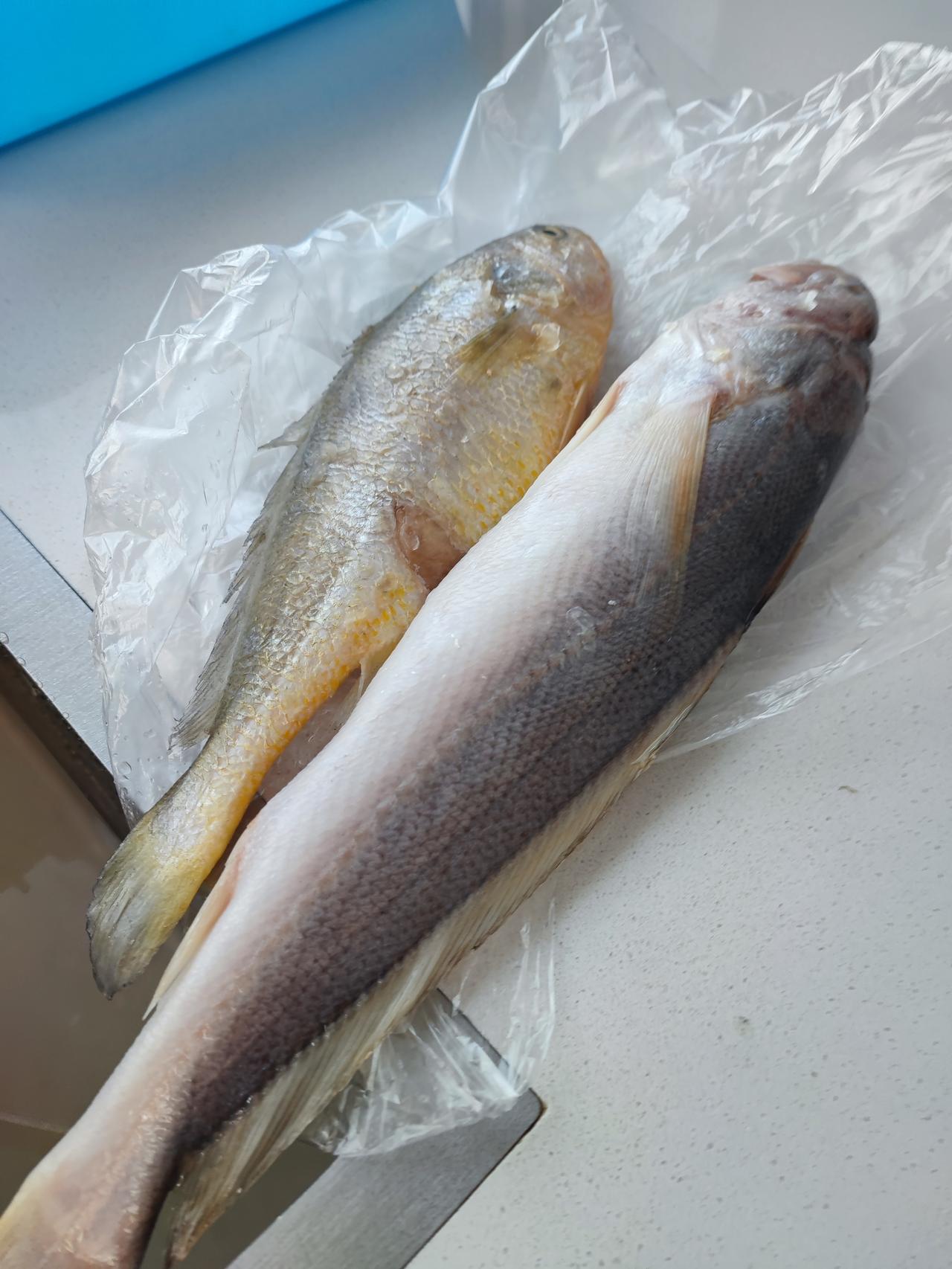 网上买的黄鱼，
哪个是假的？[捂脸]
🈶知道的友友吗？
两次在网上买的黄鱼，